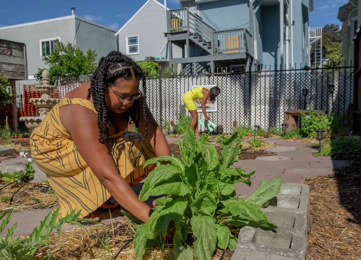 Chanae Pickett, along with her mother, Gabrielle Dickey Chanel El, and her brother, Ezekiel McCarter, opened a healing garden last month in West Oakland. The garden is a healing space for victims of traumatic events.