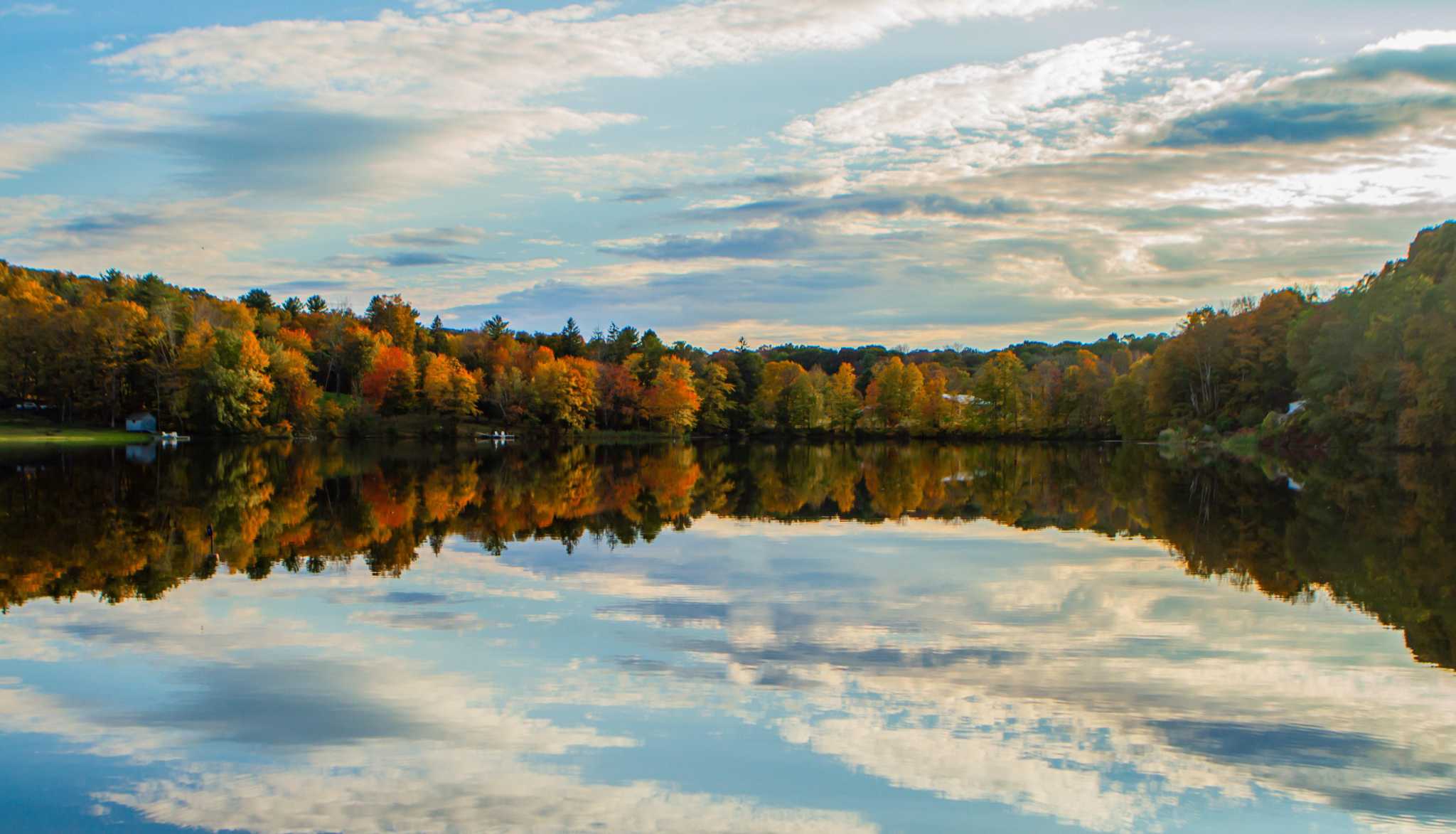 Sherman Library opens ‘Senior Art Show’