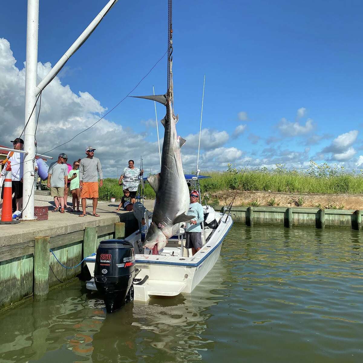 On July 1, Avery Fuller and his two brothers Clint and Tyler were out fishing about 40 miles off the coast of Galveston when he caught a 1,000-pound, 12-foot tiger shark. 