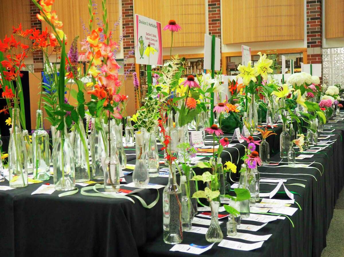 Garden club to showcase flower show basics