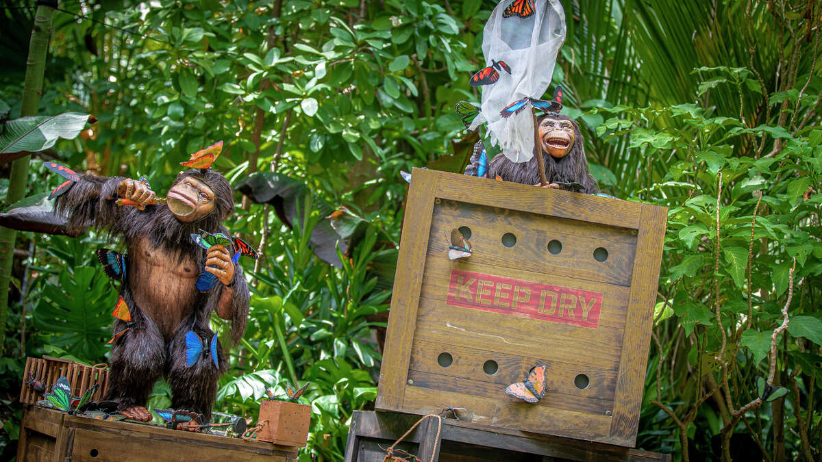 The chimpanzees on the revamped Jungle Cruise.