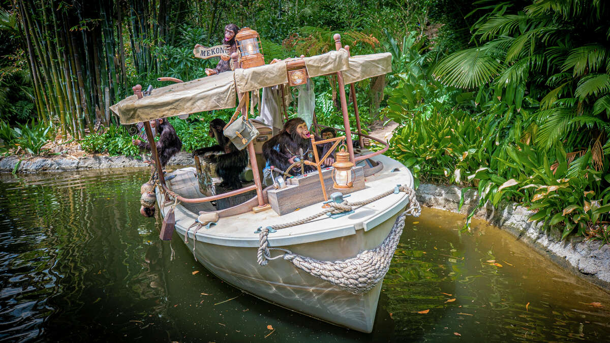 On the new ride, chimpanzees overtake a cruise boat full of explorers.
