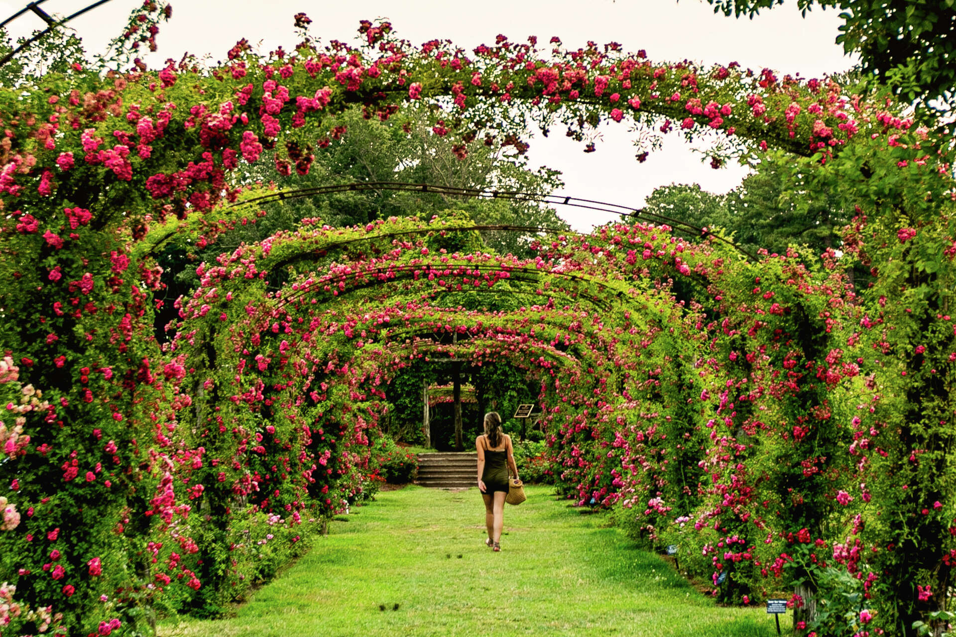 Kaman Roses This is Connecticut's most beautiful garden, according to HGTV