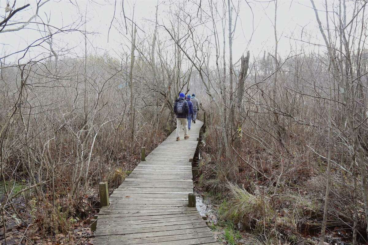 Visitors head out along into a swamp that filters water before it feeds into the Norwalk River, and out to the Long Island Sound, in a previous year. With summer camp now in session through August 20, after beginning June 21, the area near the Woodcock Nature Center's buildings, and pavilion are being used daily by the camps' campers between 9:30 a.m. and 3 p.m. in Wilton.