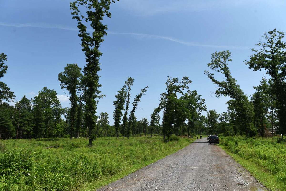 Albany Pine Bush Preserve acquires 15 more acres of protected land