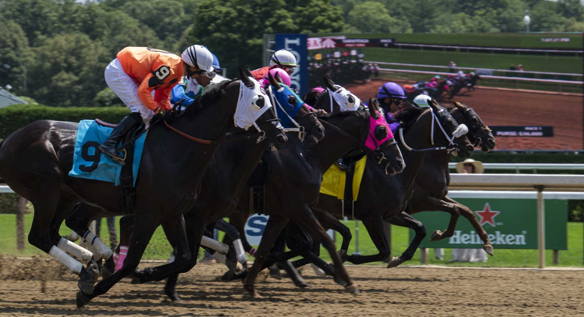 Listen How Thoroughbred Racehorses Get Their Names Listen How Thoroughbred Racehorses Get Their Names