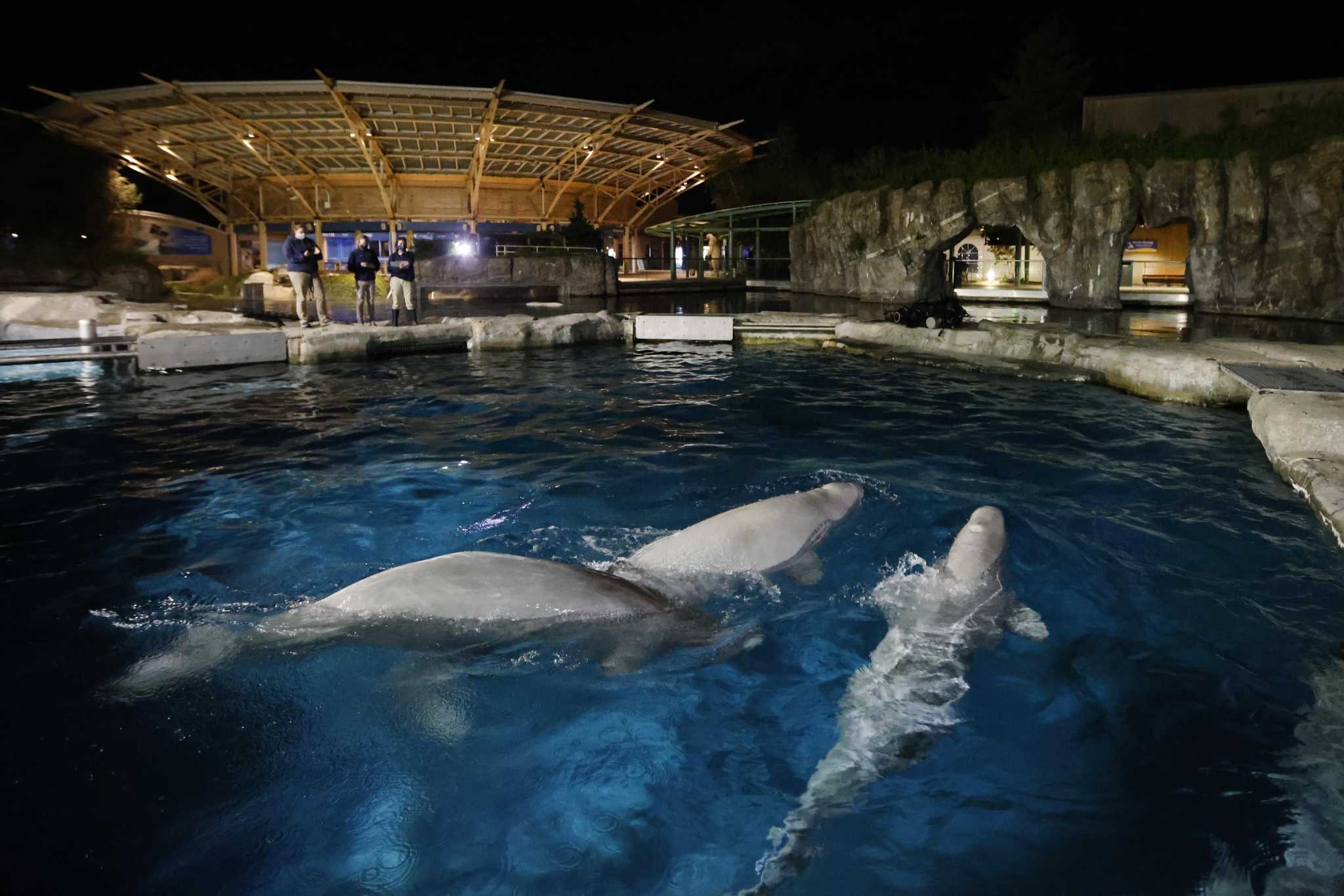 Mystic Aquarium Gets 6m Among Most In Ct In Shuttered Venue Grant