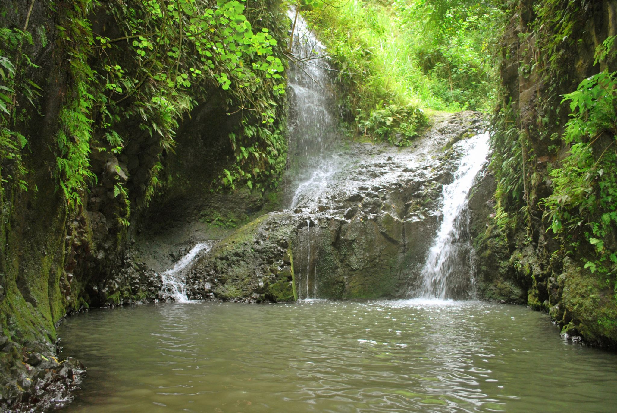 After too many visitors, Maunawili Falls trail in Hawaii is closing for