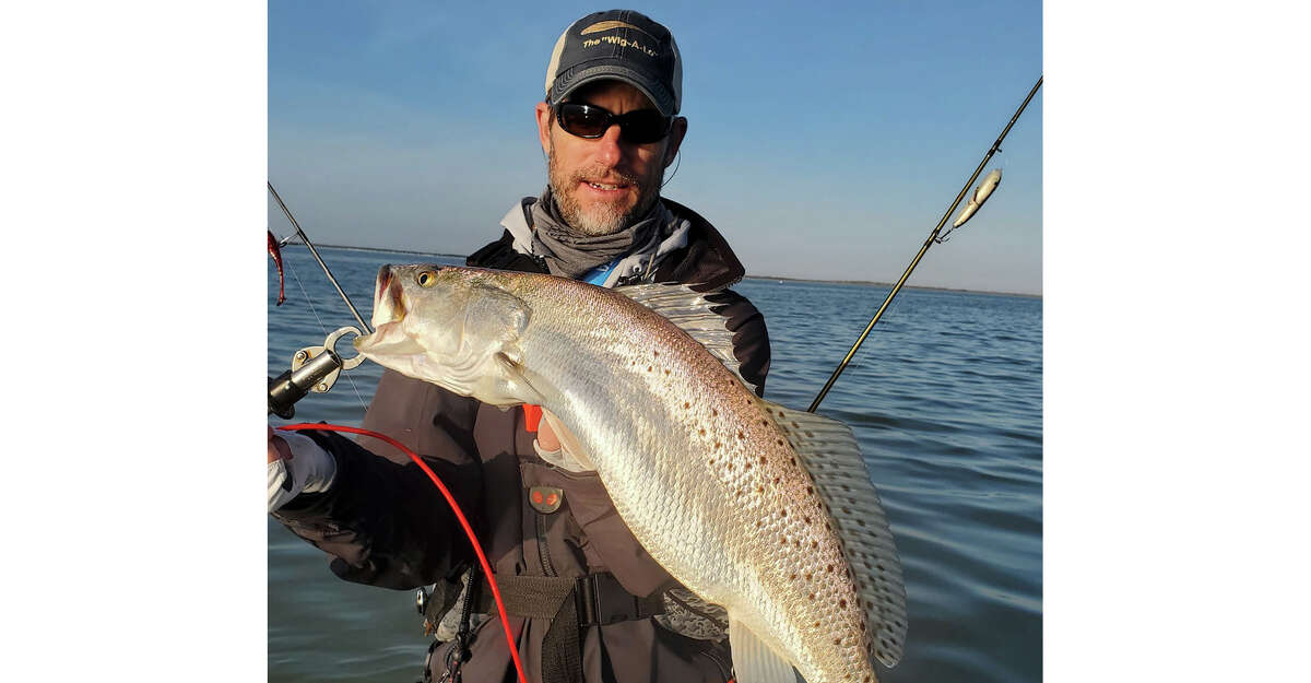 Captain Wayne Davis, a guide out of Port Mansfield, with a massive spotted seatrout. Davis is a leader in the guiding community who encourages catch-and-release trips.