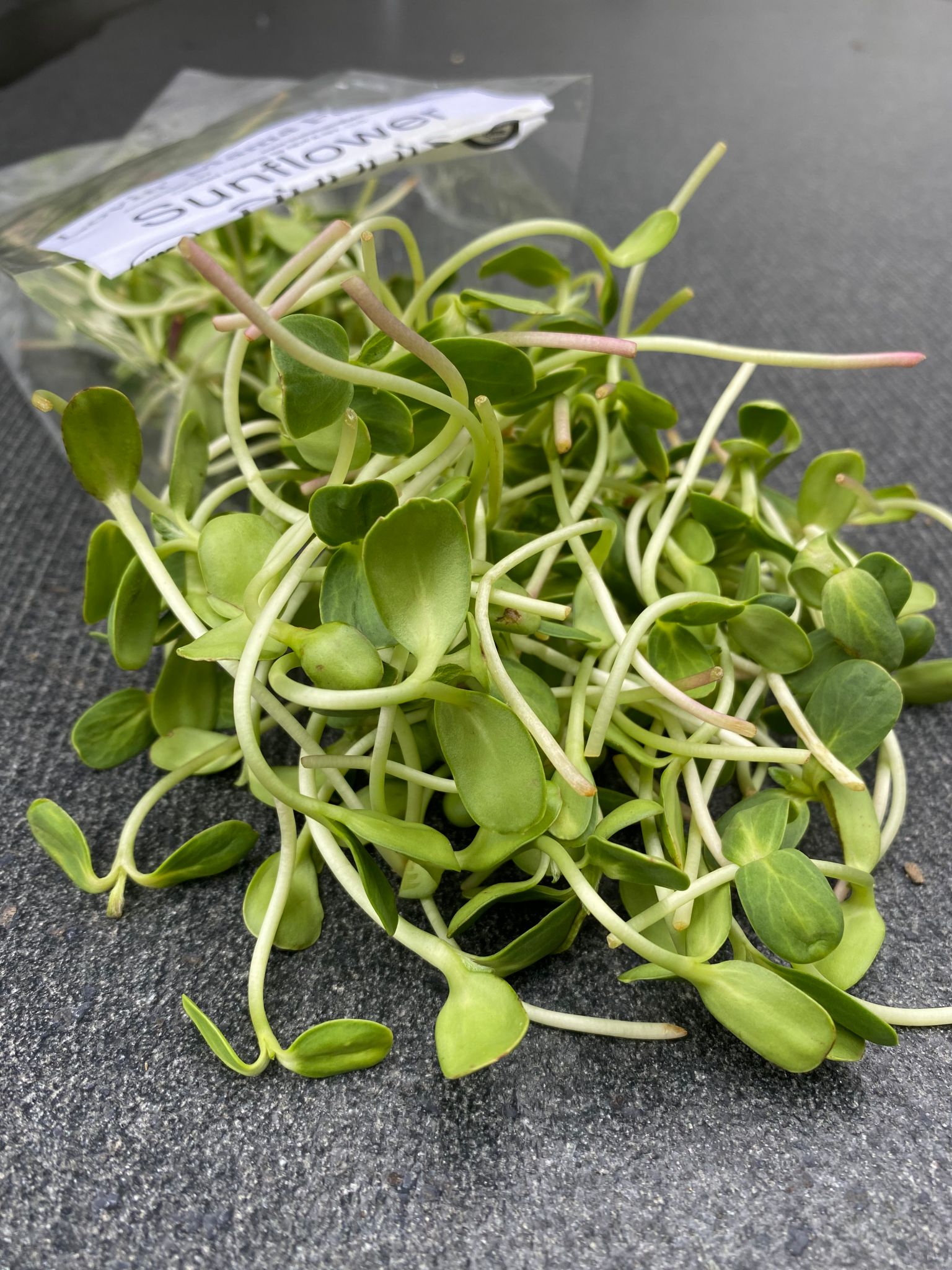 Farmers market spotlight: Sunflower shoots