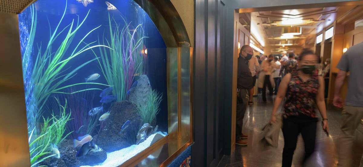 The aquarium in the lobby of the Majestic Theatre was moved as part of the recent renovation of the orchestra-level bar. “It was faithfully restored to how it was back in 1929, just pushed-back to give more space and present a bigger, more welcoming picture to our guest,” said Marketing Director Brittney Garcia.