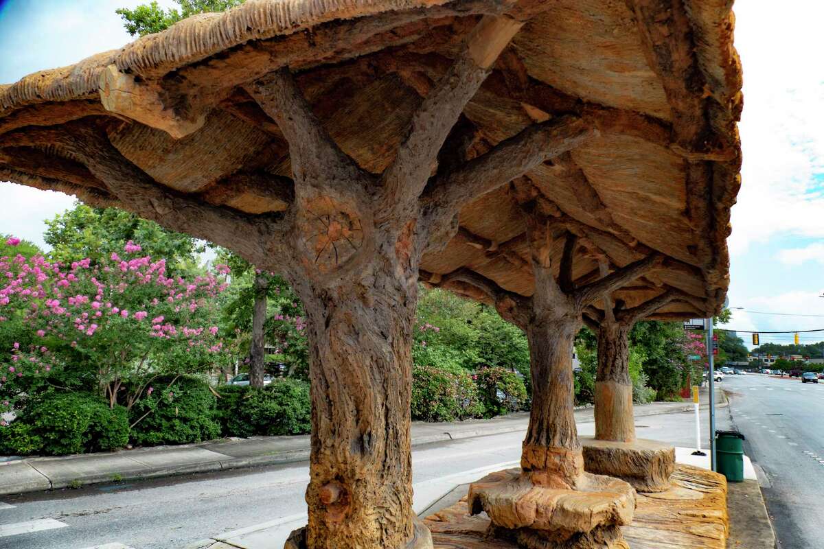 Despite its realistic appearance, the treelike bus stop in Alamo Heights by the late artist Dionicio Rodríguez actually is made of concrete.