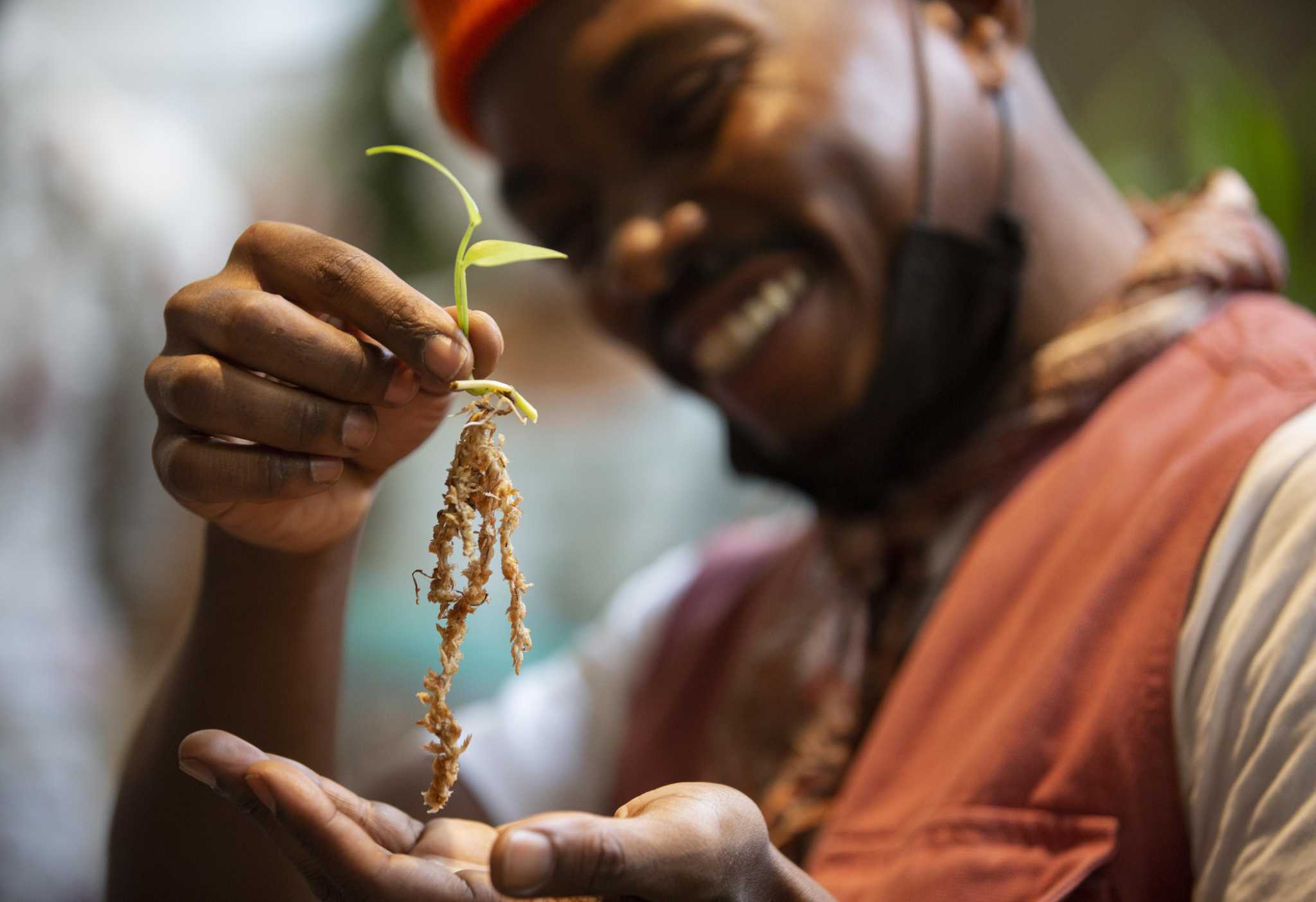 For some Houstonians, pandemic blues were cured by green thumbs