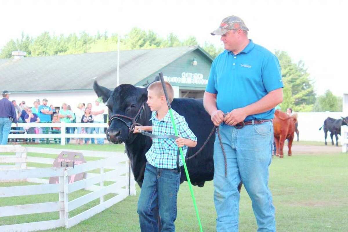 A 4-H member shows off his market steer during the large animal auction at the Osceola County 4-H/FFA Fair in 2013. This year's fair runs July 24-31. (Pioneer file photo)