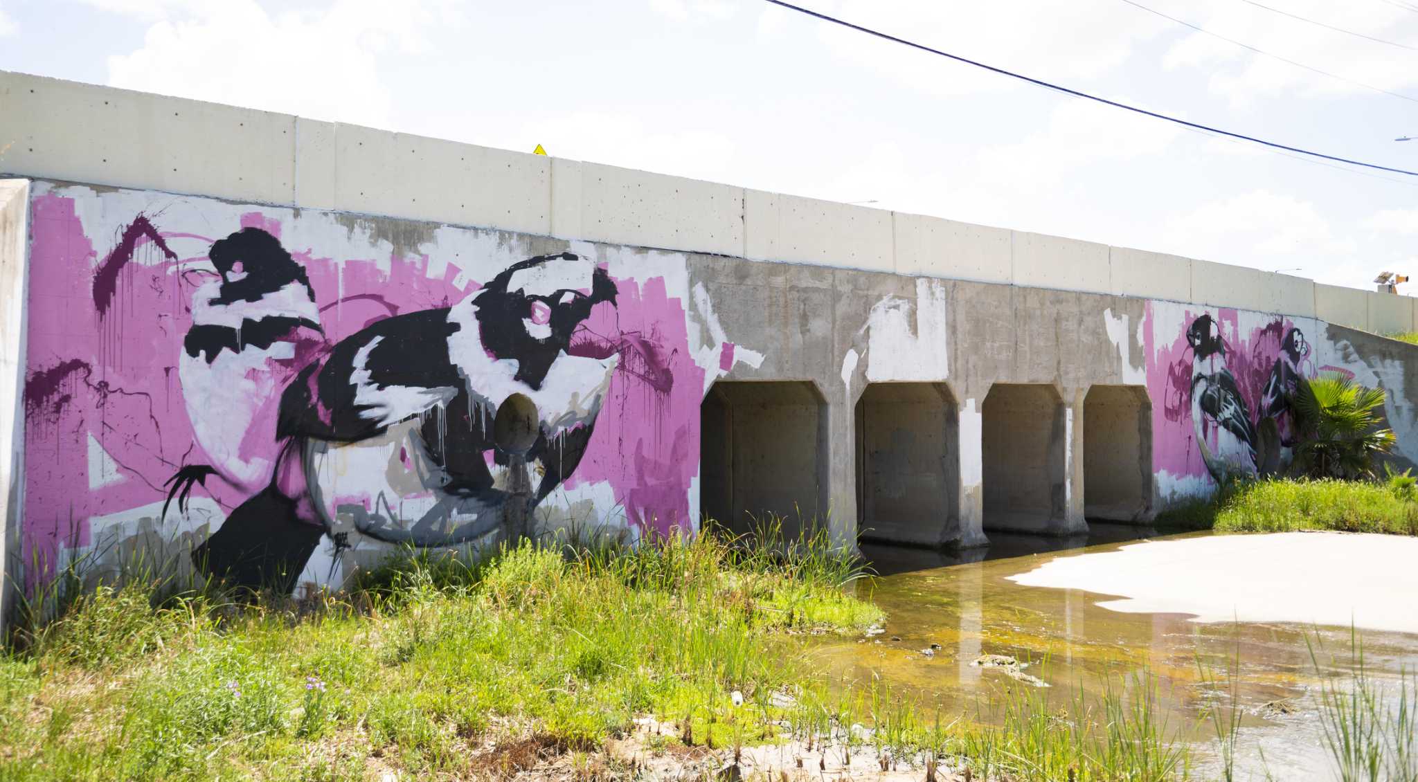 Laredo officials present Public Art Master Plan - Vimarsana News