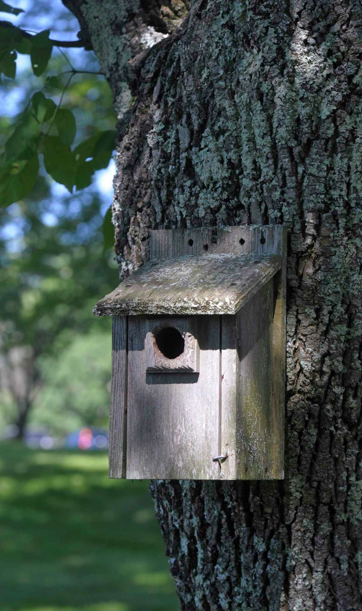 A birdhouse at the Connecticut Audubon-Deer Pond Farm in Sherman.