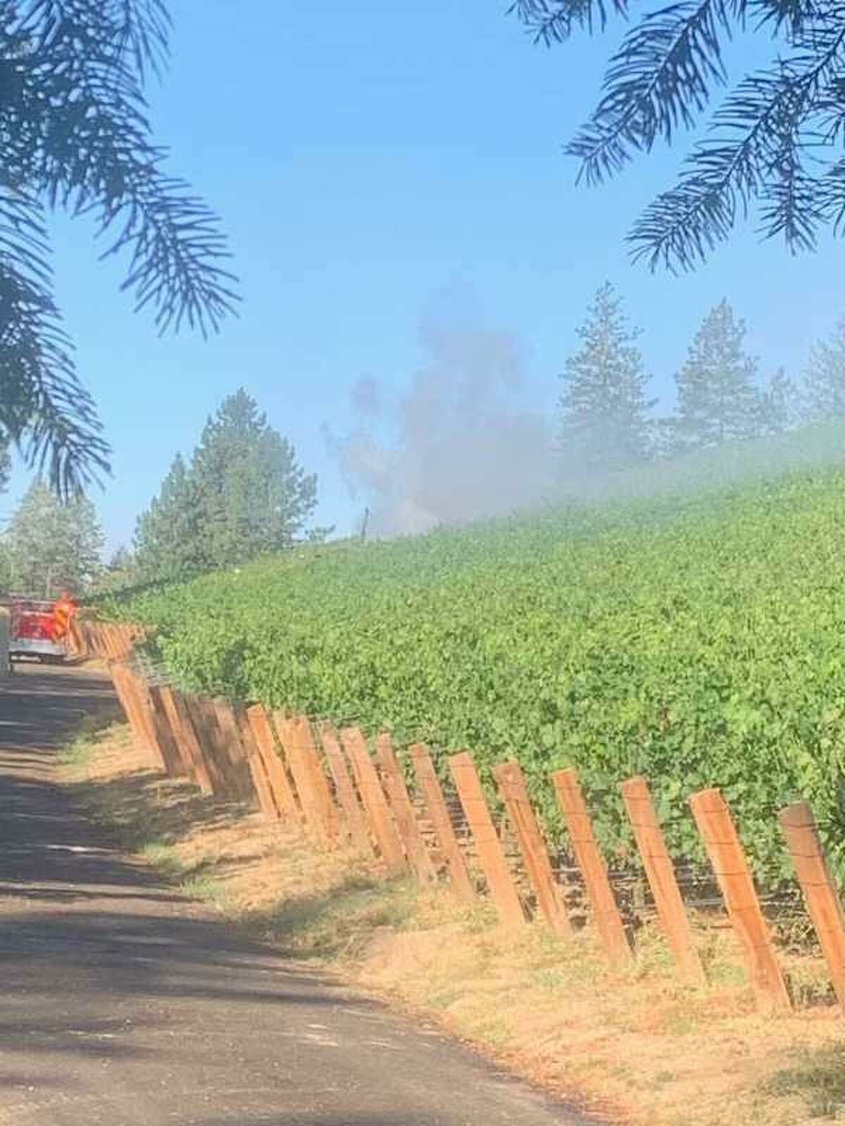 A small plane crashed into a vineyard near the Angwin Airport in Napa County Friday morning.