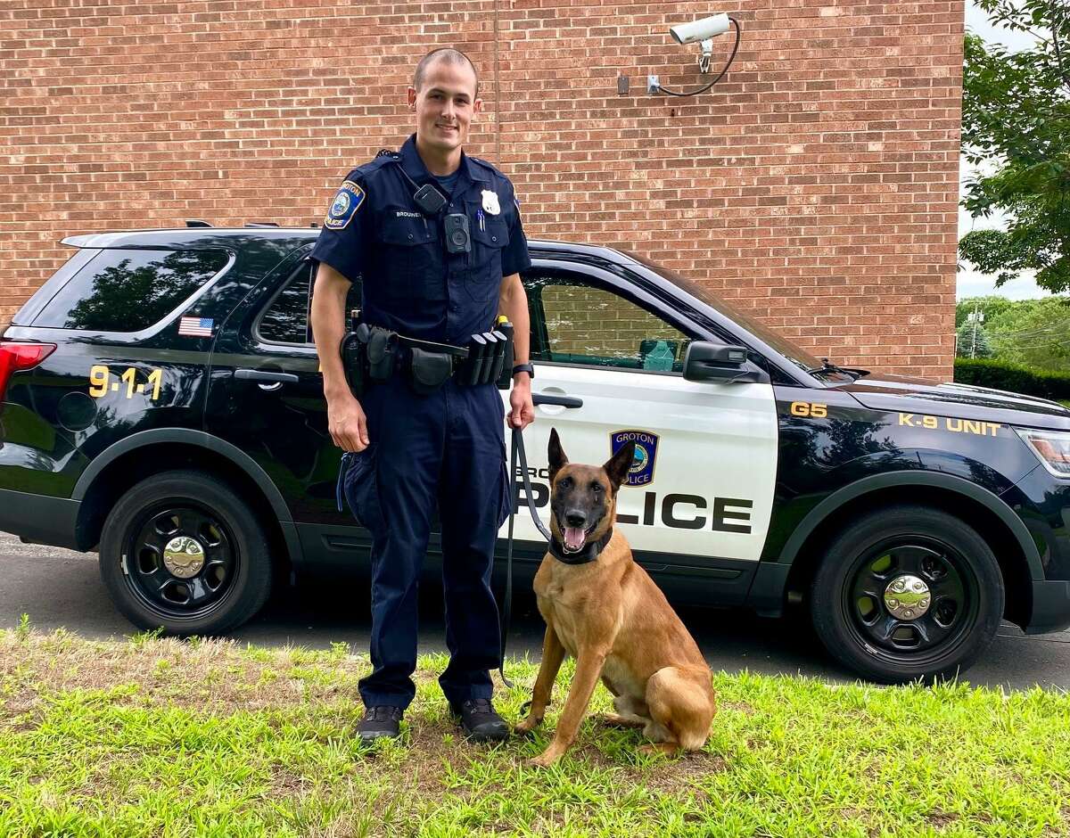 ‘I always have backup’ Groton police dog reassigned to new handler