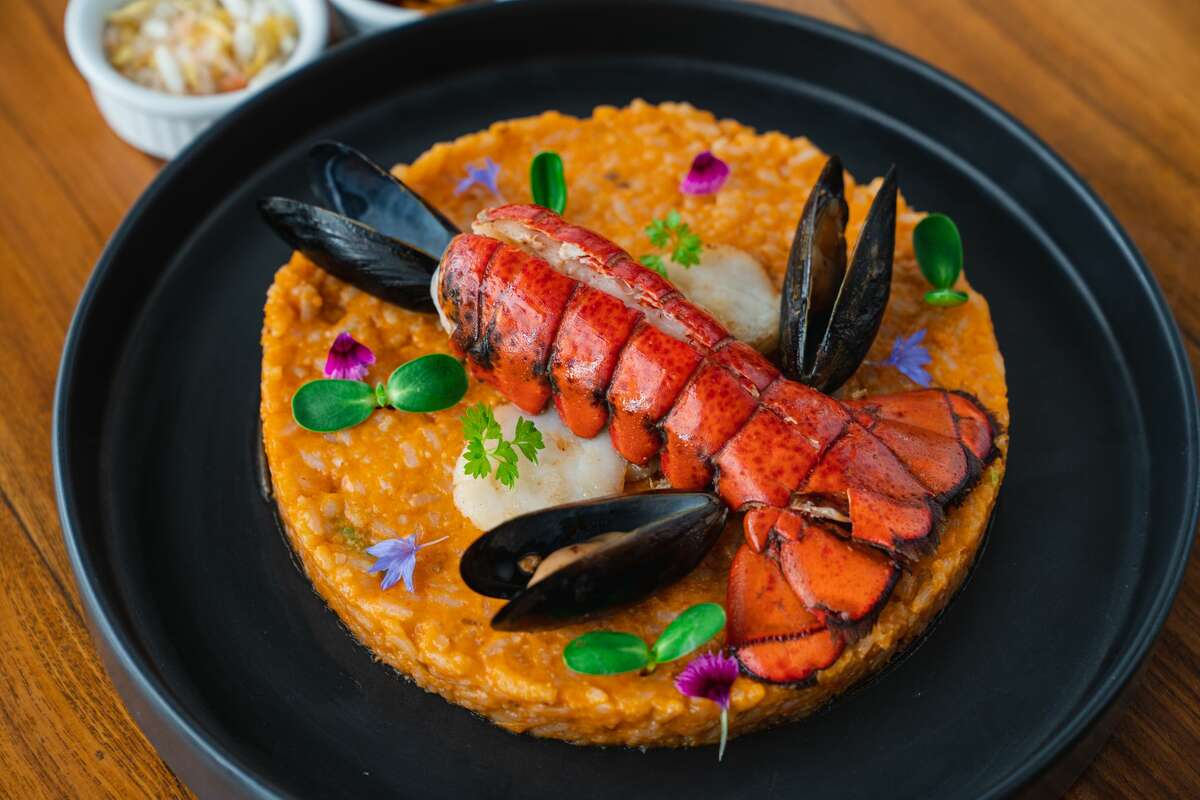 Musafar's Seafood Khichdi is garnished with spicy ghee-garlic lobster as well as scallops, shrimp and mussels.