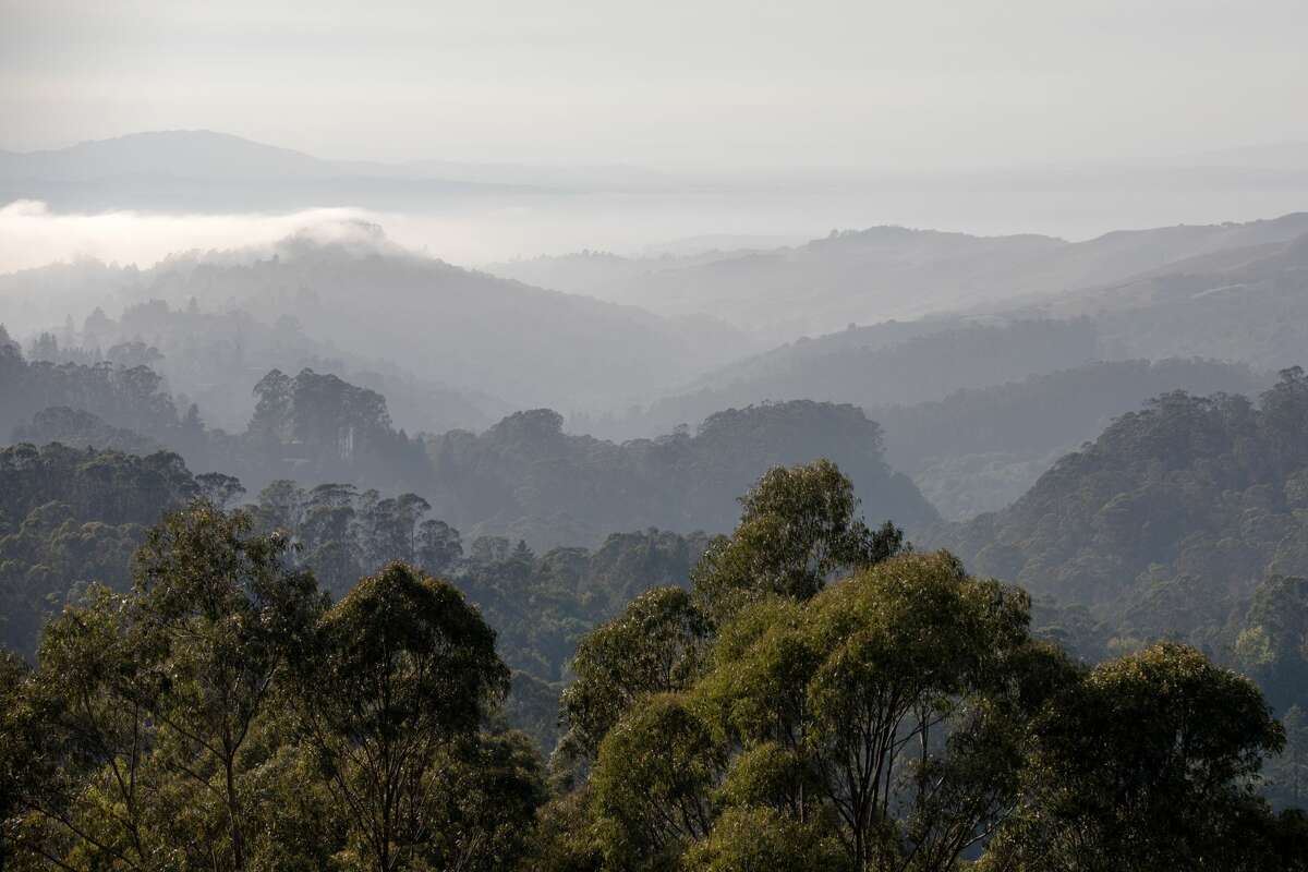 FILE - A body was discovered near Tilden Park in Orinda on Sunday. In this file photo, fog rolls over the tree-covered hills in Tilden Park in Berkeley, Calif. on July 18, 2021.