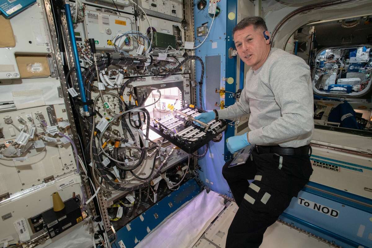 NASA astronaut and Expedition 65 Flight Engineer Shane Kimbrough inserts a device called a science carrier into the Advanced Plant Habitat (APH), which contains 48 Hatch chili pepper seeds NASA started growing on July 12, 2021 as part of the Plant Habitat-04 experiment. Astronauts on station and a team of researchers at Kennedy will work together to monitor the peppers' growth for about four months before harvesting them. This will be one of the longest and most challenging plant experiments attempted aboard the orbital lab.
