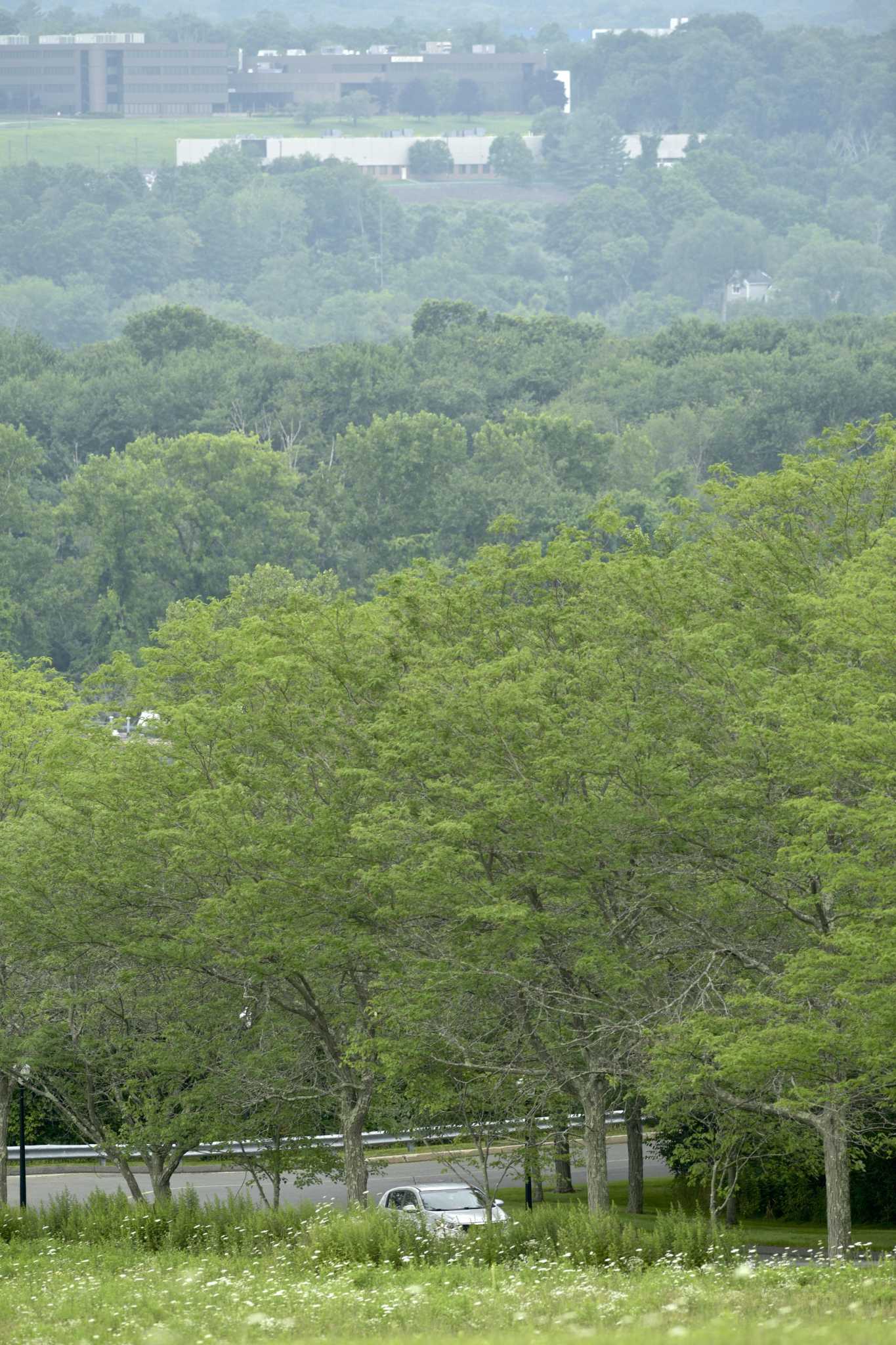 Why is CT under an air quality alert and what should I do? - Vimarsana News