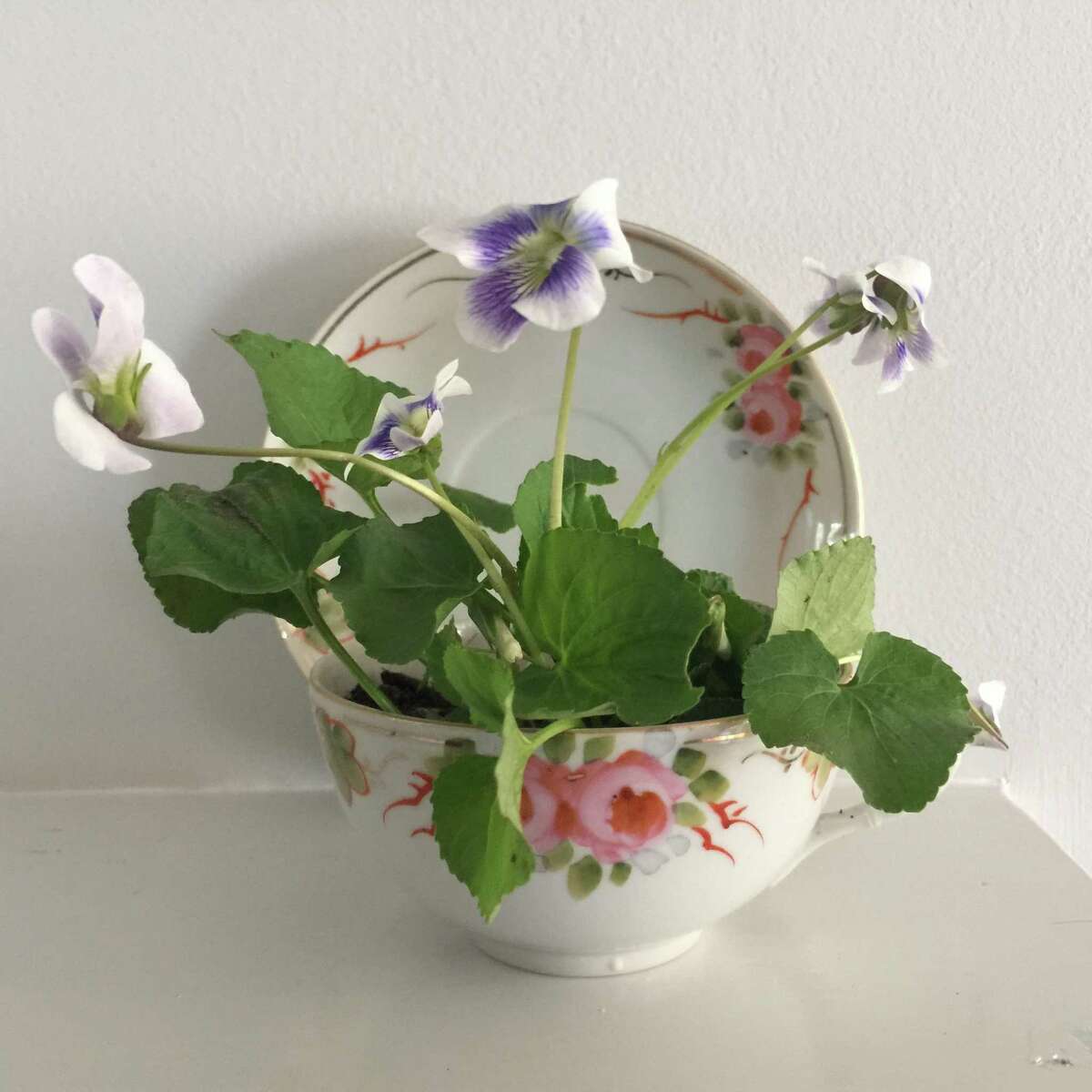 The Wilton Historical Society recently offered a May Day Vintage Tea Cup Workshop for children. The Historical Society has since received a grant from the Elizabeth Raymond Ambler Trust in order to research the history of African Americans in the town.
