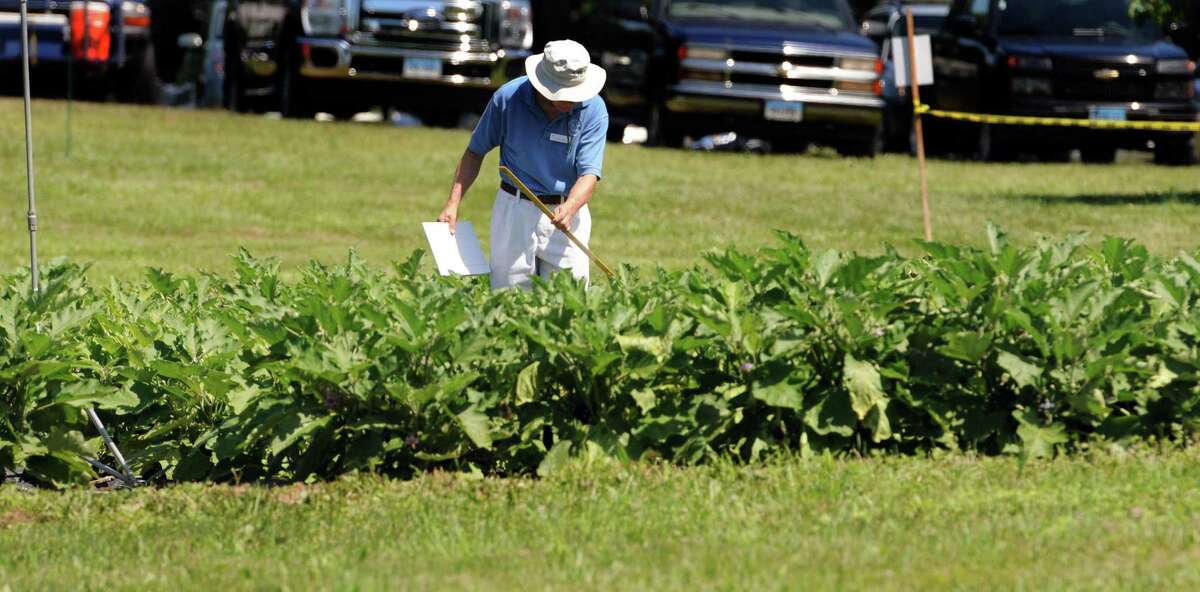 A scene from a past Connecticut Experimental Agriculture Station Plant Science Day at Lockwood Farm in Hamden.