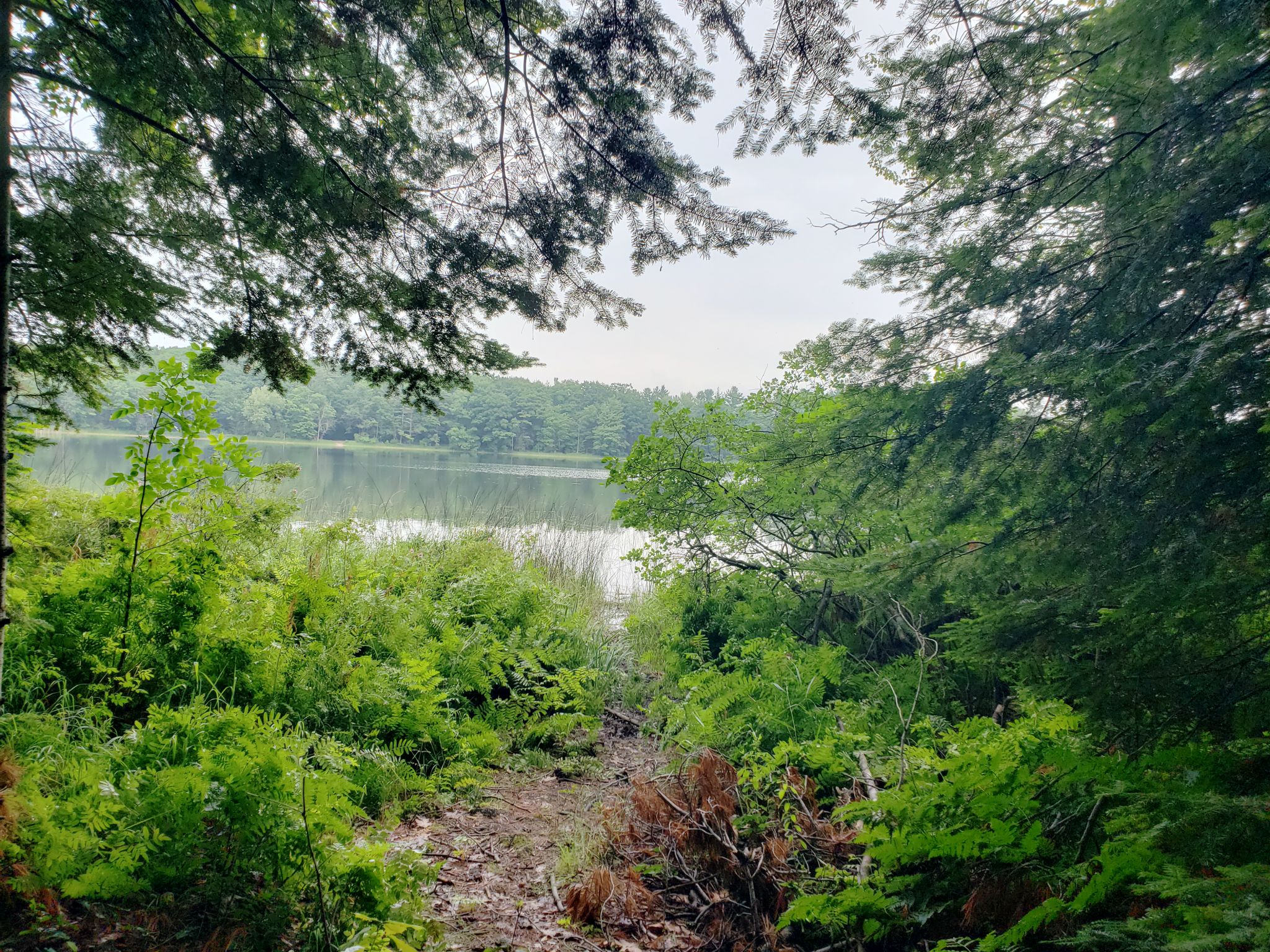 ARIELLE BREEN: The year is halfway through, what's on your summer list? - Vimarsana News