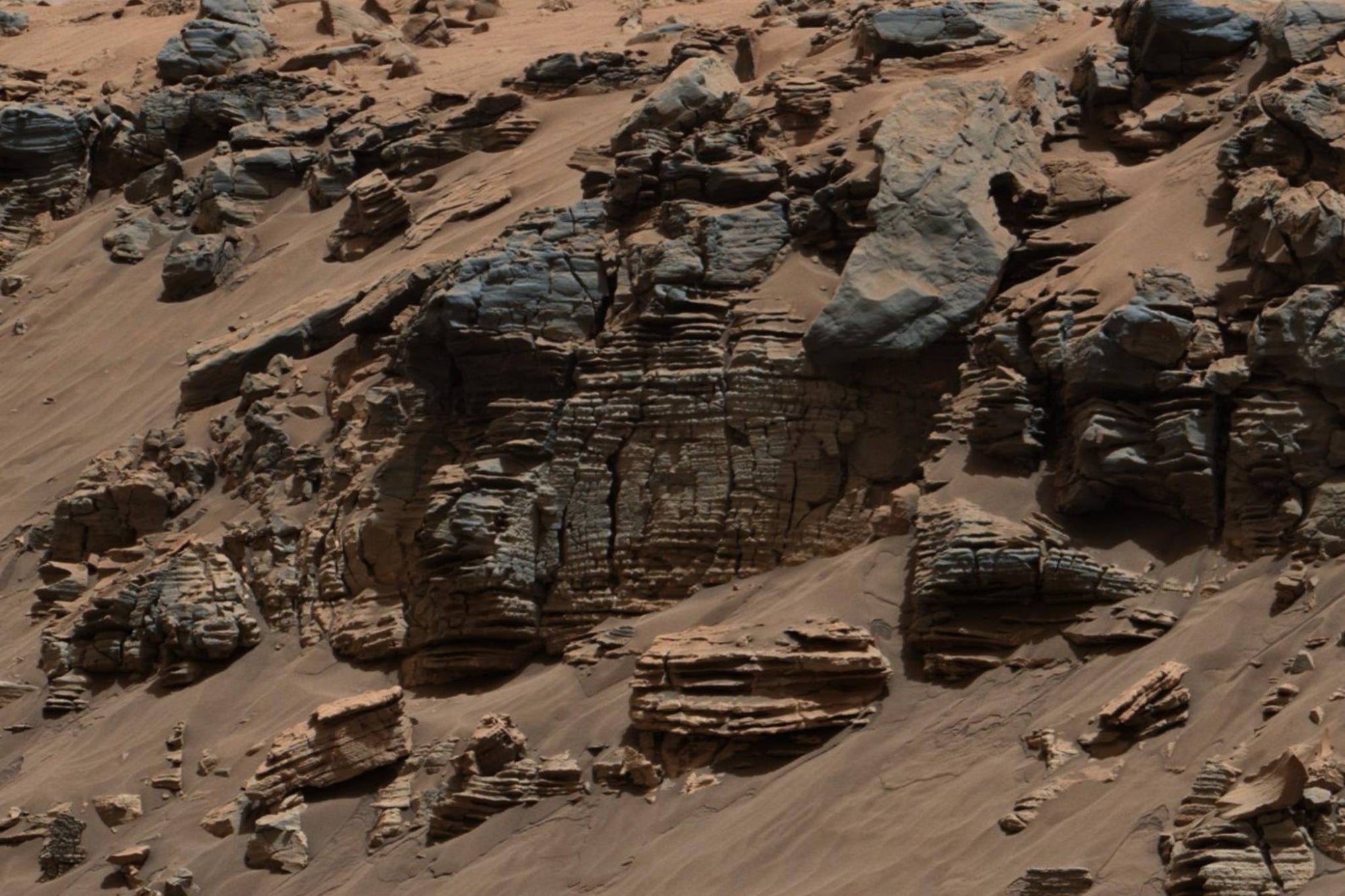 Traces of life on Mars may have been erased, according to NASA