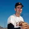 A close up of San Francisco Giants pitcher Gaylord Perry during Spring Training in 1967.