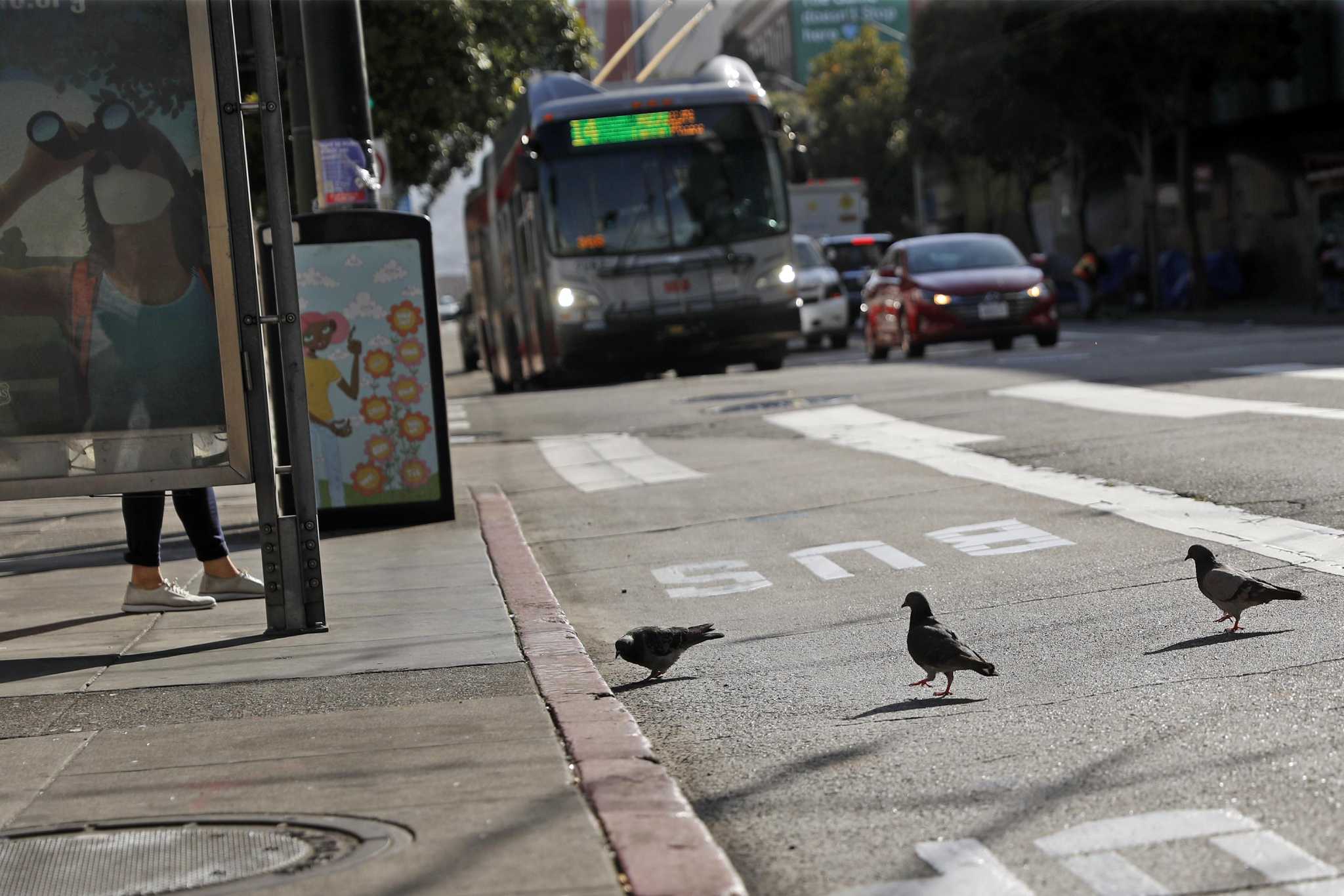 Are S.F. bus route eliminations imminent? The city begins contentious debate over future of Muni - Vimarsana News
