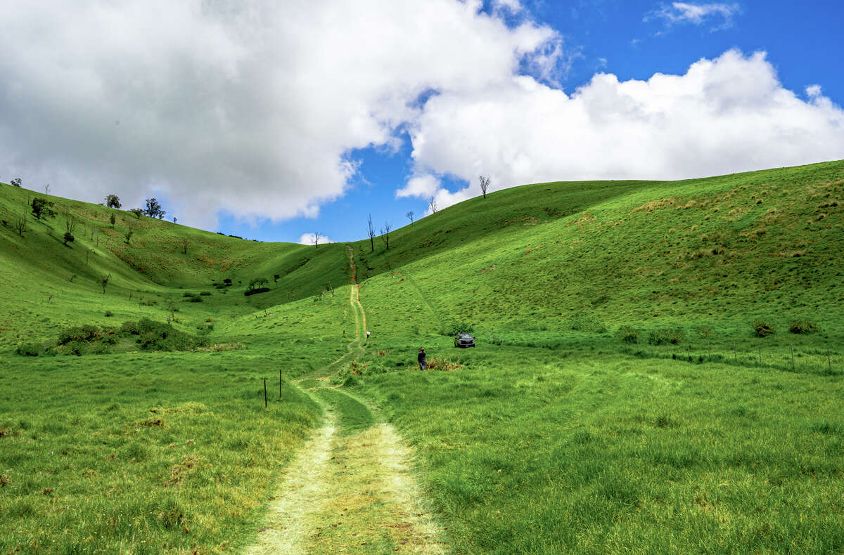 A Hawaii hike in one of the most endangered forest types on Earth
