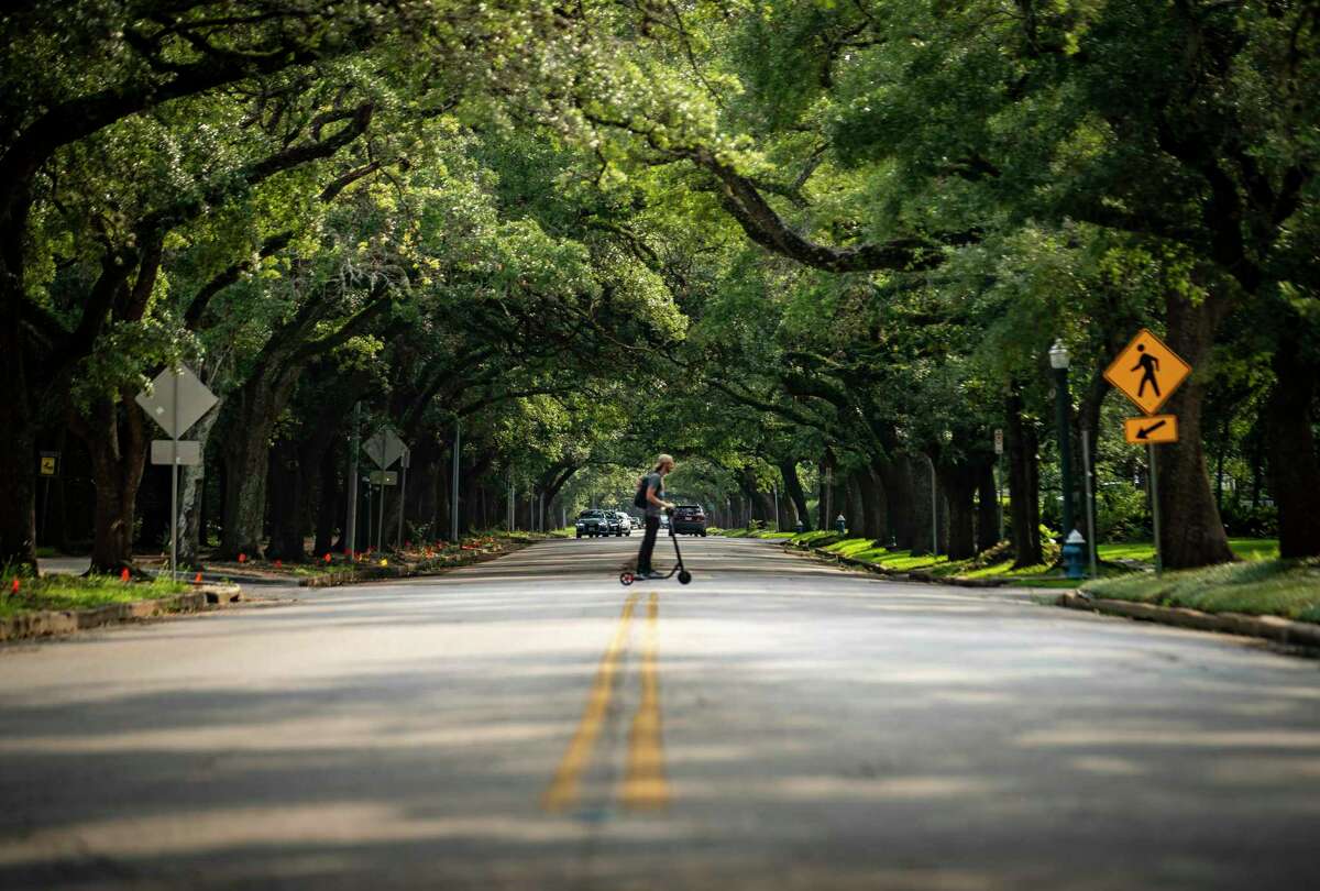A pedestrian crosses underneath the oak trees lining Rice Boulevard near Rice University, Tuesday, July 20, 2021, in Houston. A new report by the organization American Forests addressed "tree equity" in the nation's cities. The study finds tree inequity in basically every city, including Houston, grounded in historical redlining policies.