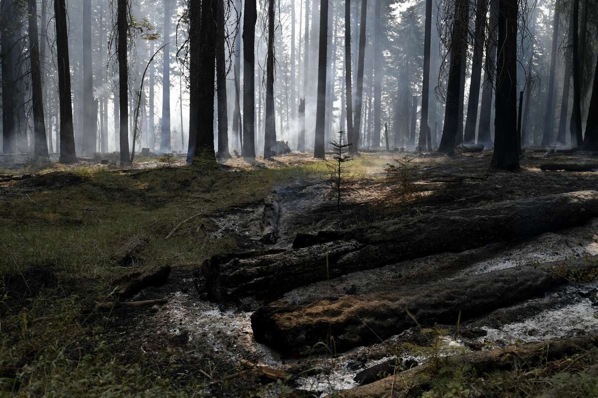 California summer camp from the 1950s destroyed in Dixie Fire