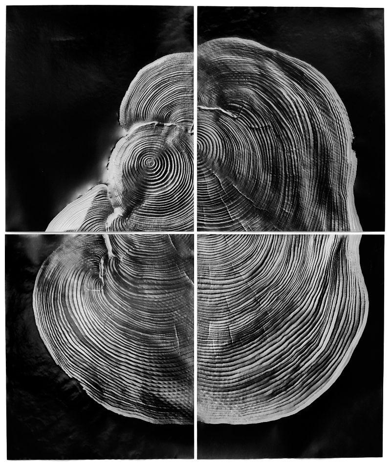 Artist presents gelatin silver photographs at Washington art show