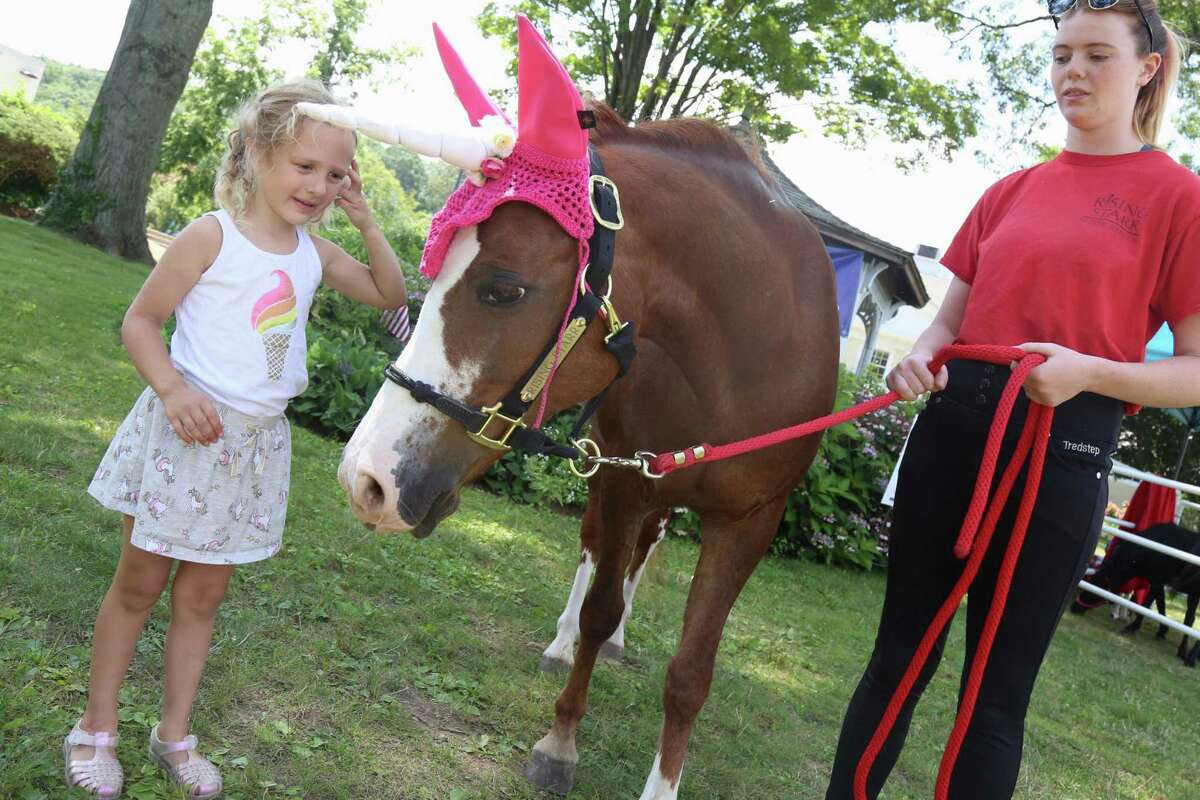 Harper Pawlowicz, 4, of Stamford, meets Pixie, of Rising Starr Horse Rescue in Wilton, and her handler, Ava Craig, at the Chamber of Commerce’s Street Fair & Sidewalk Sales on Saturday.