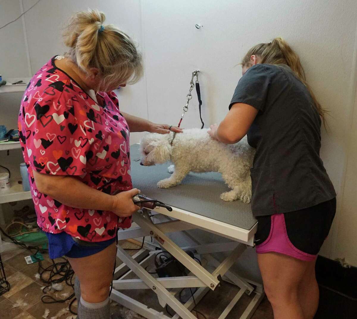 Happy Tails Pet Grooming continues to thrive in Reed City