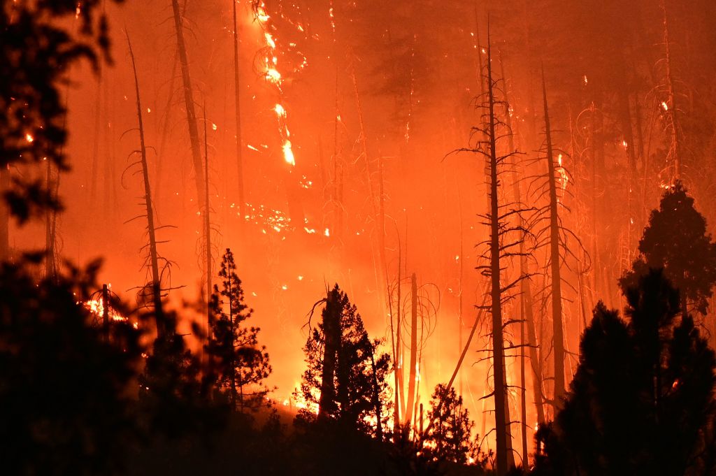 California's Dixie Fire grows to size larger than New York City