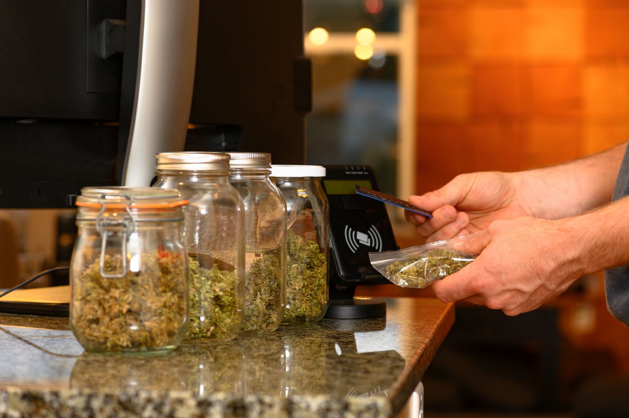 Where marijuana is on the ballot Nov. 2 - Vimarsana News