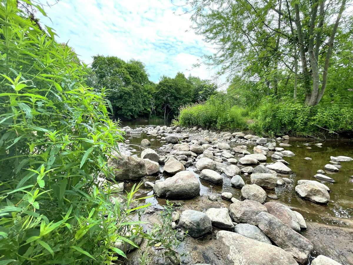 A pile of rocks is pictured sitting in a portion of the calm Muskegon River -- nestled between bright, green bushes -- inside of Hemlock Park. (Pioneer photo/Bradley Massman)