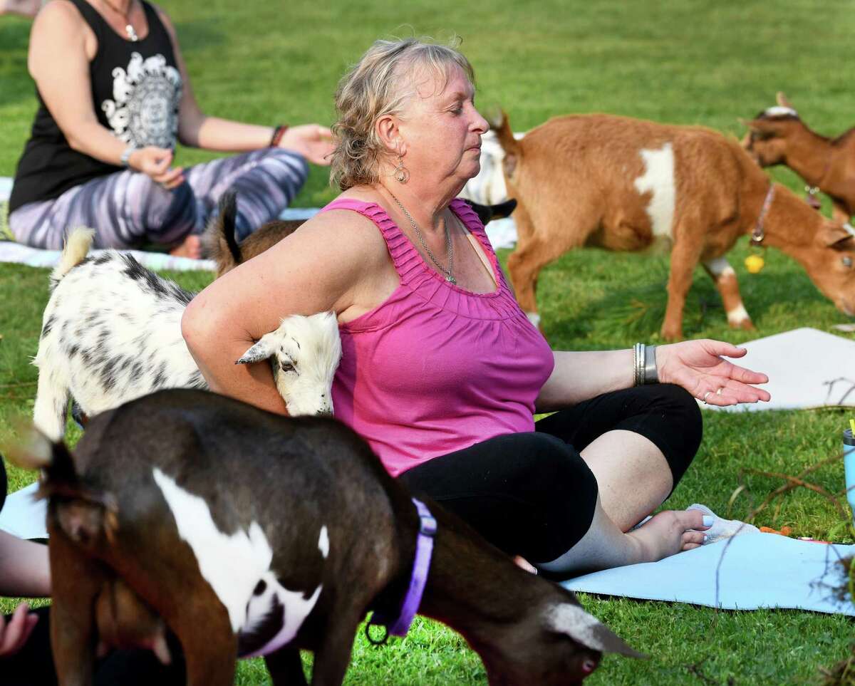 Ronnie DiNucci, owner of Veronica’s Garden, cuddles a goat during a session of goat yoga, which was held at her home on Monday, July 26, 2021 in Ridgefield, Conn.