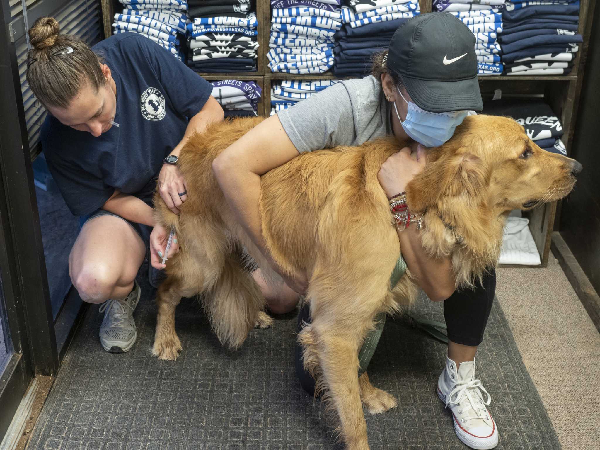 Fix West Texas participates in Strut Your Mutt fundraiser