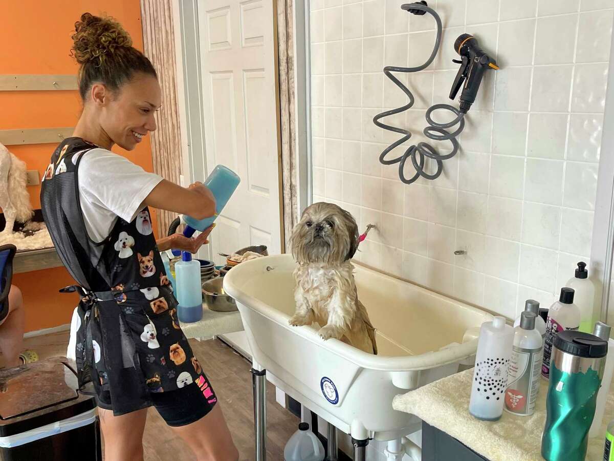 The Life Of A Big Rapids Dog Groomer