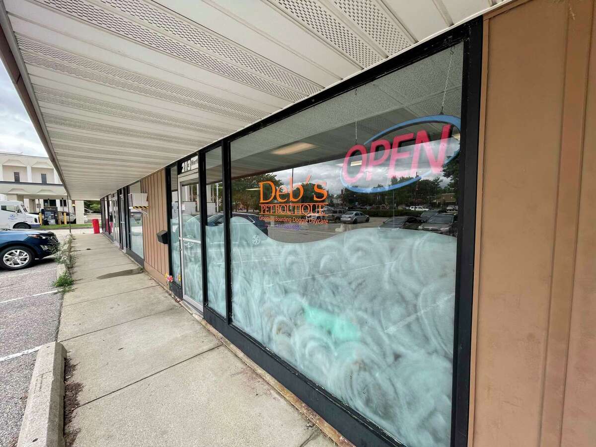 The life of a Big Rapids dog groomer