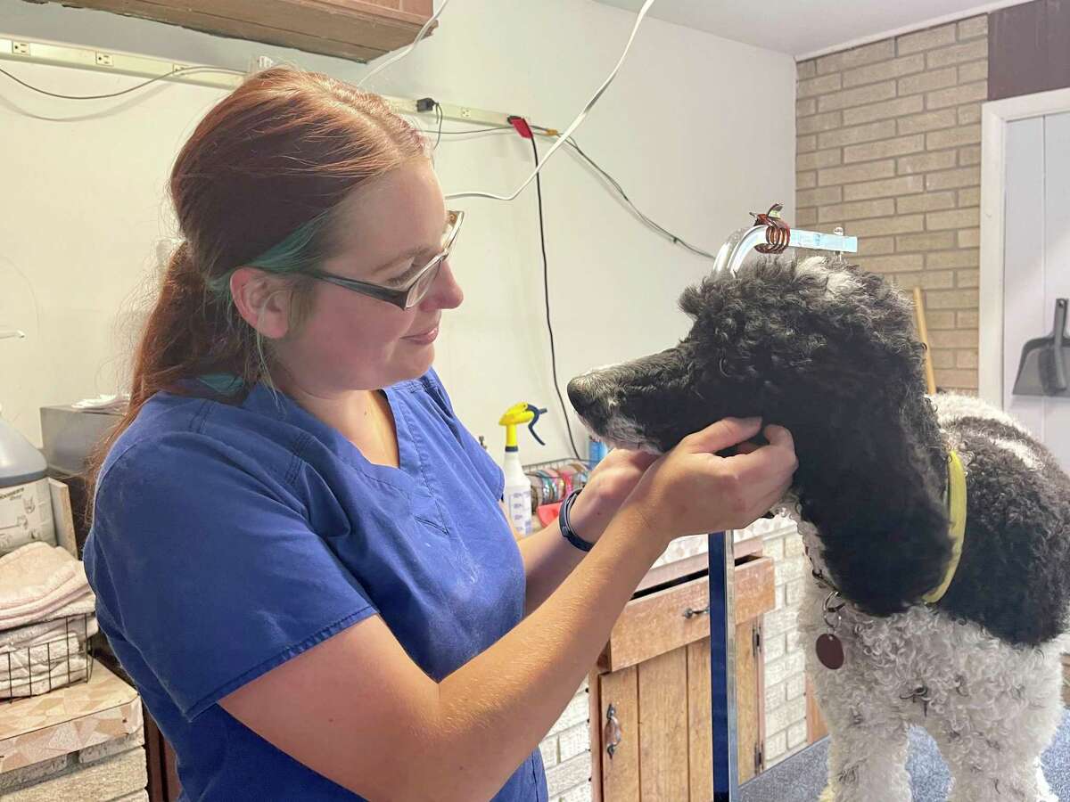 The life of a Big Rapids dog groomer
