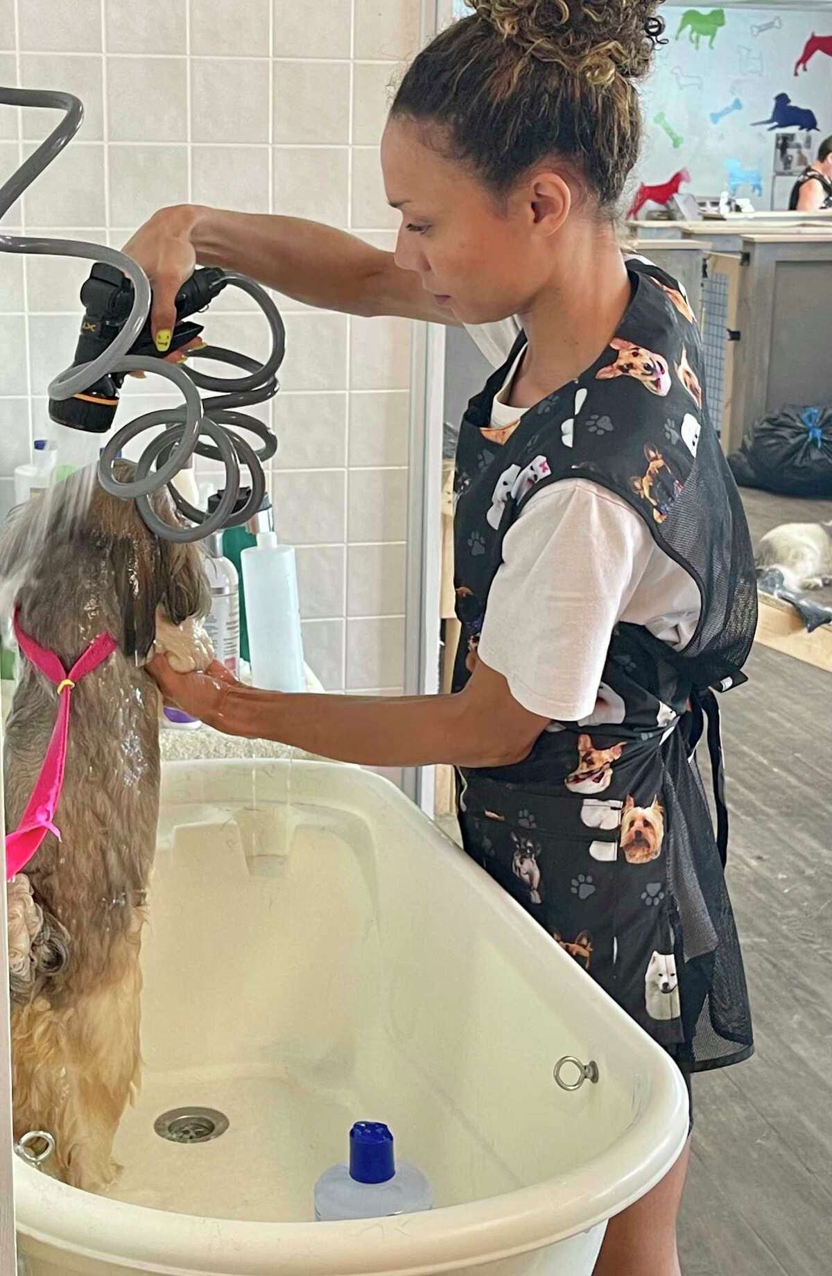 The life of a Big Rapids dog groomer