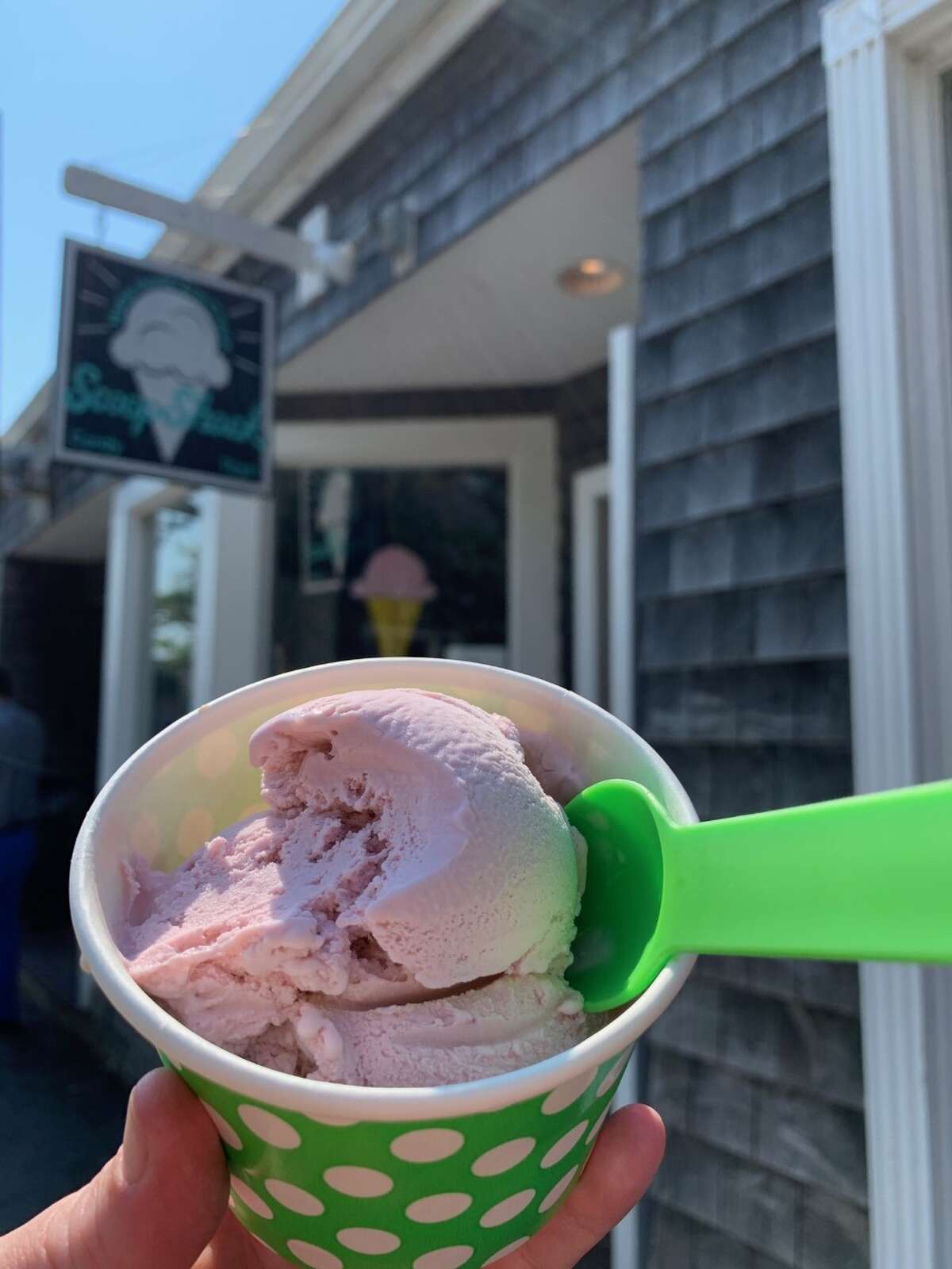 Adventures in Martha’s Vineyard