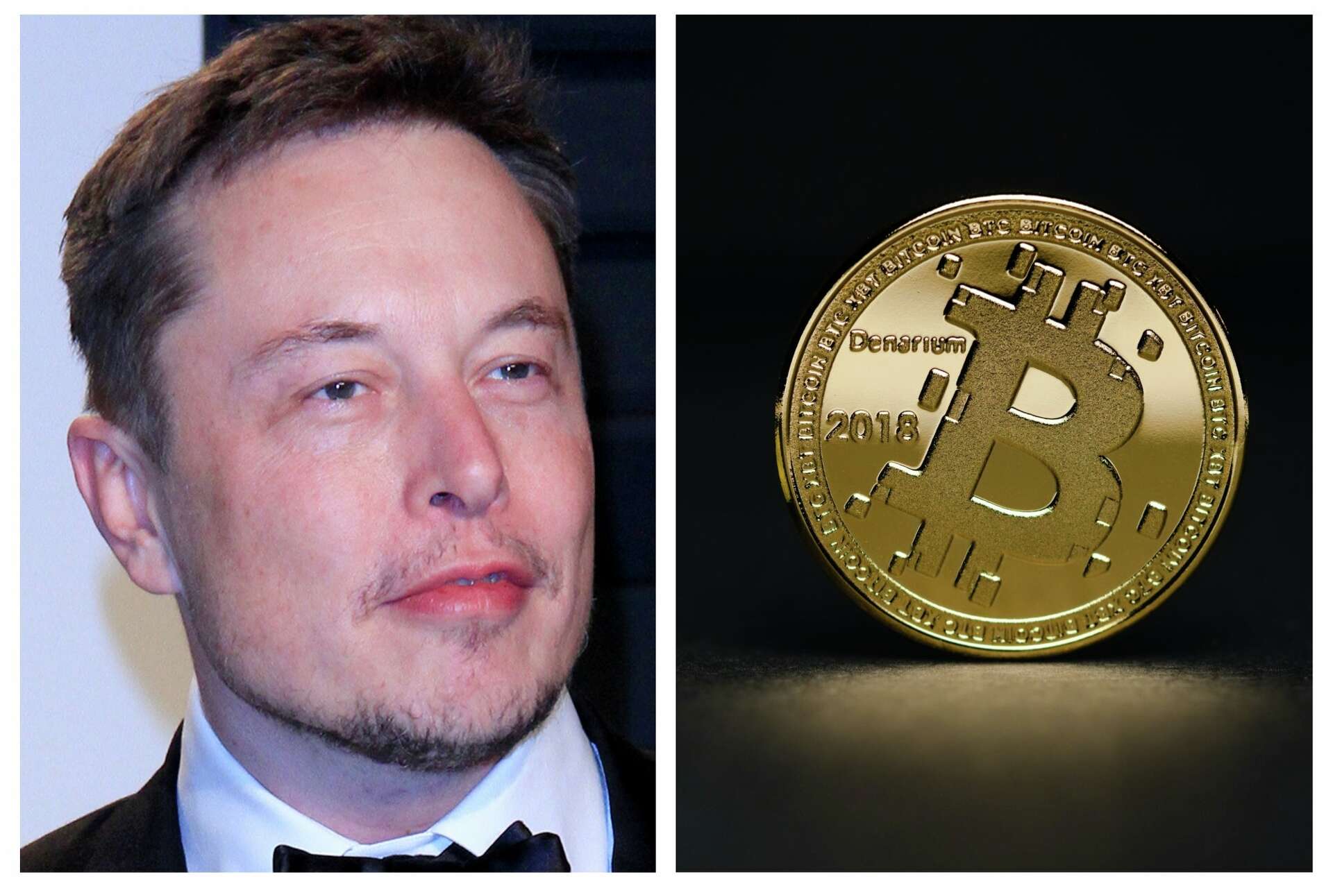 Does Elon Musk push bitcoin with his tweets or does crypto make the  businessman tweet?