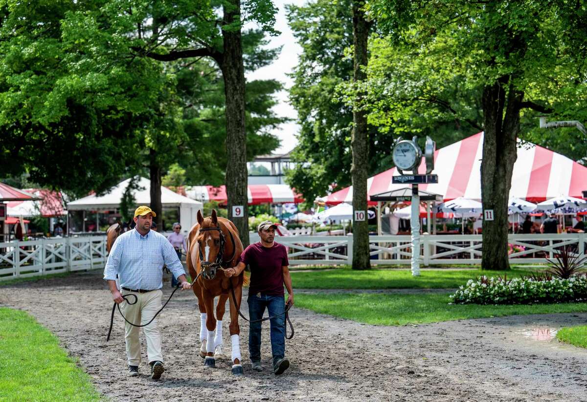 First Captain, who will run in the Curlin Stakes, enters the paddock for a schooling session at Saratoga Race Course on Wednesday, July 28, 2021, in Saratoga Springs, N.Y.